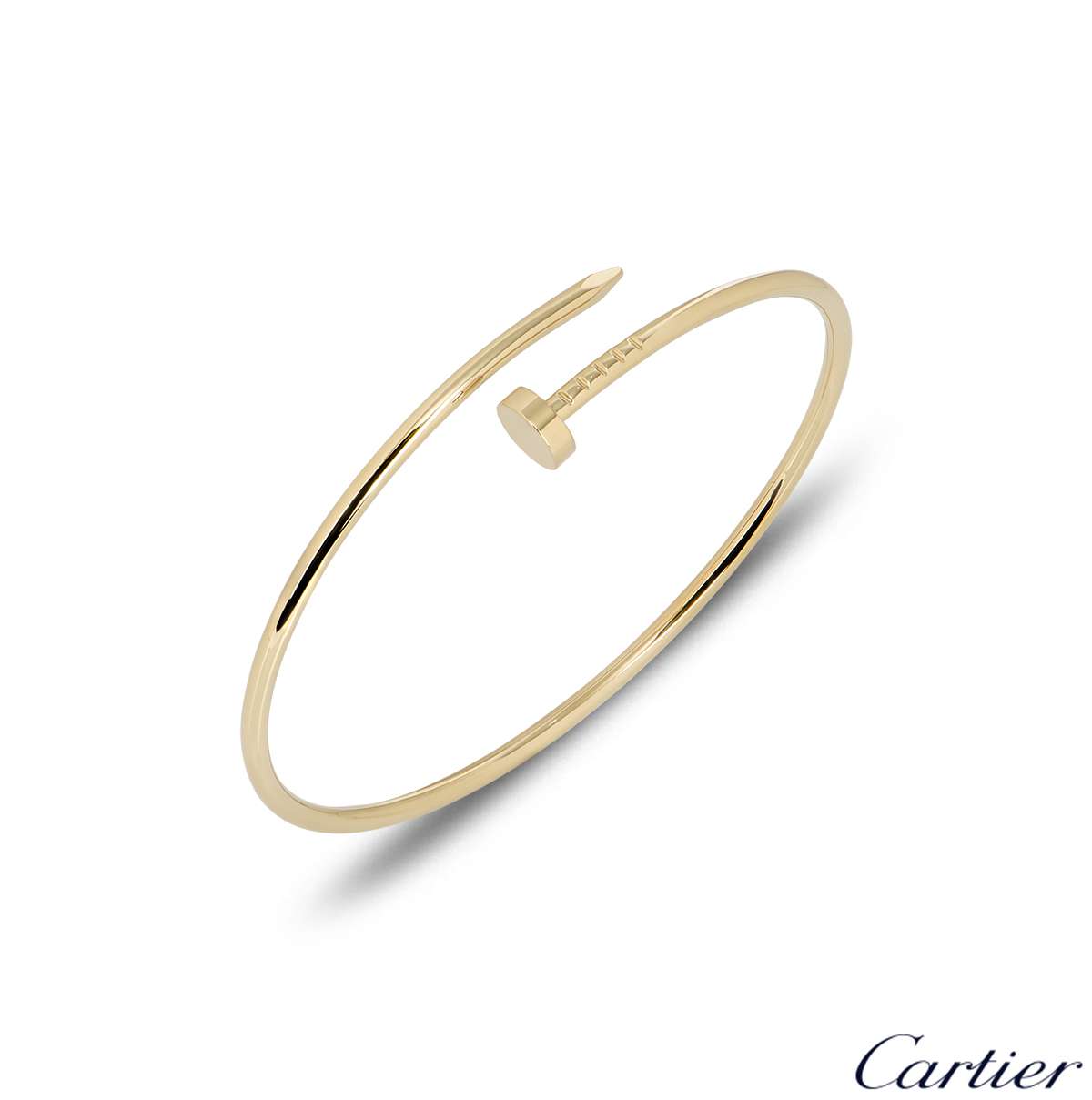How Cartiers Juste un Clou Bangle Became a Cult Buy  Who What Wear UK